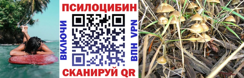 Псилоцибиновые грибы прущие грибы Купить закладки Конаково